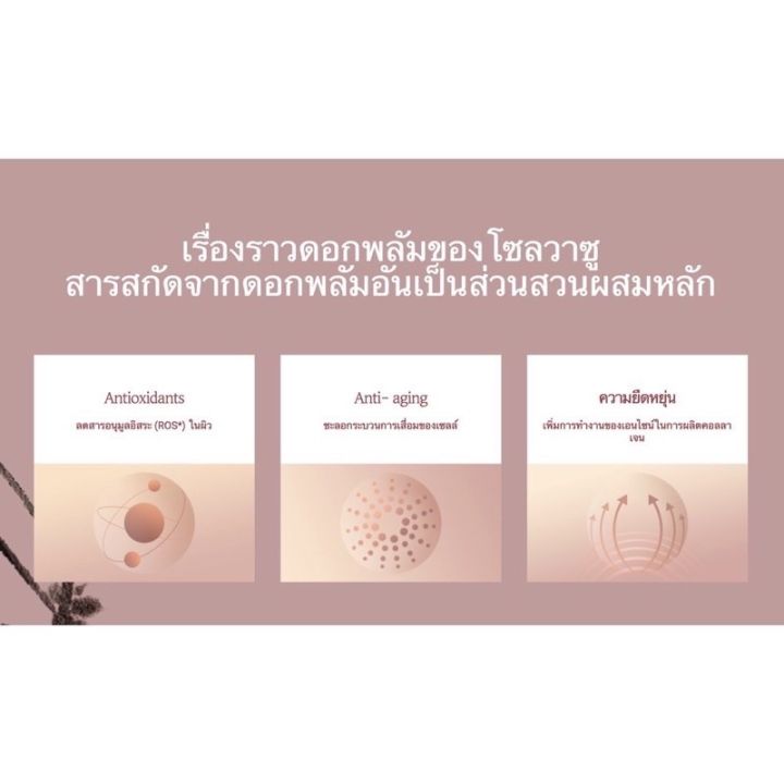 สินค้าแท้100-sulwhasoo-bloomstay-vitaling-kit-3-items-จากเคาเตอร์แบรนด์ไทย