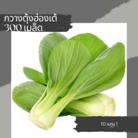 เมล็ดผักกวางตุ้งฮ่องเต้ เมล็ดพันธุ์ผัก เมล็ดผักสวนครัว 10แถม1คละได้