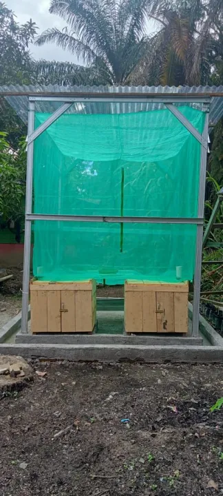 Kandang Lalat Bsf Ukuran X X Lazada Indonesia