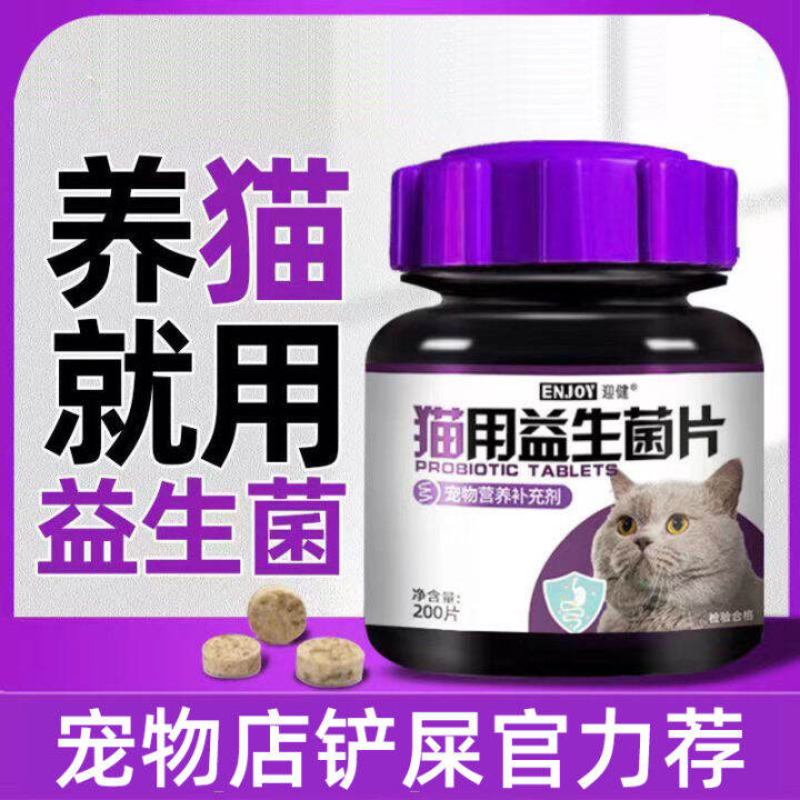 Pet Probiotics Exclusive for Cats Conditioning Intestine and Stomach ...