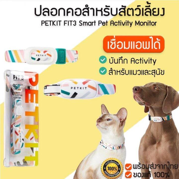 ปลอกคอสุนัข-ปลอกคอ-ปลอกคอแมว-ปลอกคออัจฉริยะ-pet-smart-activity