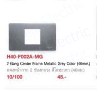 HACO H40-F002A-MG แผงหน้ากาก 2 ช่องกลาง (46มม.) H40-F002A -MG