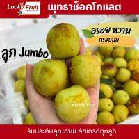 พุทราช็อคโกแลต ลูก Jumbo 3 kg. หวาน กรอบบ อร่อย กล่องโฟม ส่งแช่เย็น