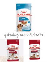 อาหารเปียก Royal Canin พันธุ์กลาง 3 ช่วงวัย ลูก-3เดือนขึ้นไป /Adult-1ปีขึ้นไป/10ปีขึ้นไป