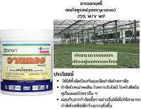 วานตอง สารเพนไซคูรอน กำจัดเชื้อรา กำจัดเชื้อราใบติด ขนาด250กรัม