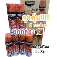 เชนไดร้ท์โฟม 250g. กำจัดปลวก แถมฟรี เชนไดร้ท์ เพาเดอร์ โปร⚡️(ยกกล่อง 6 กระป๋อง)