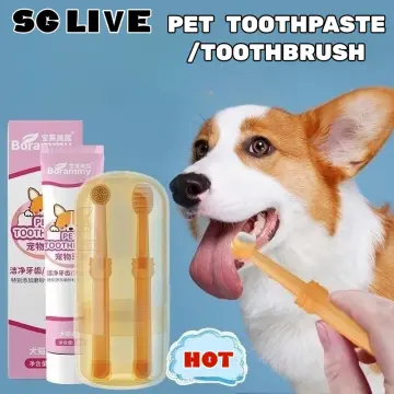 Electric toothbrush 2024 for dogs