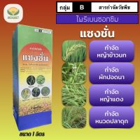 แซงชั่น ขนาด 1 ลิตร ไพริเบนซอกซิม 5% EC ใช้กำจัดหญ้าข้าวนก หญ้าแดง กกขนาก หนวดปลาดุก ผักปอดนา