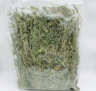 หญ้าอัลฟาฟ่า ใบเยอะ ก้านเล็ก ขนาด 100 กรัม ราคา 89 บาท กลิ่นหอมสินค้าตามภาพครับ