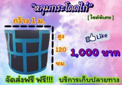 หลุดกระโดดไก่ชน