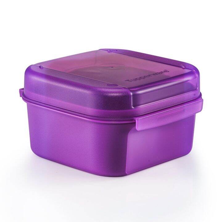 tupperware-mini-signature-line-450ml-กระปุกทัพเพอร์แวร์อเนกประสงค์-สามารถเก็บผลไม้-ขนม-เบอร์เกอร์-หรือเก็บของจุกจิกได้