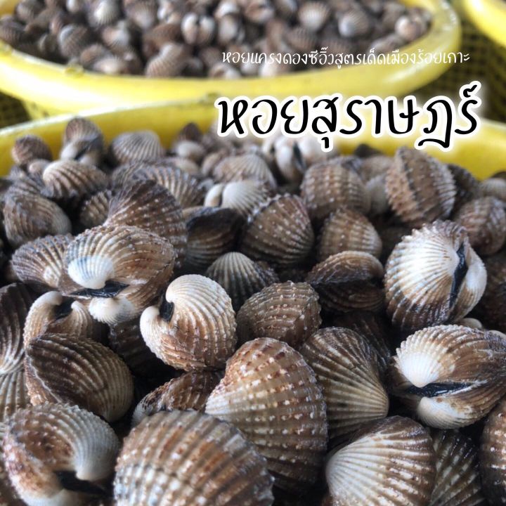 หอยแครง-กุ้ง-ดองซีอิ๊วสูตรเด็ดเมืองร้อยเกาะ