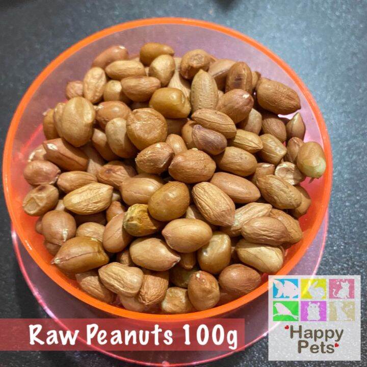 Raw peanuts 125g hamster food treat for Hamsters, mice Lazada PH