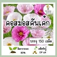 เมล็ดพันธุ์ คอสมอสคัพเค้ก คละสี  (Cosmos Cupcakes) บรรจุ 150 เมล็ด เมล็ดพันธุ์แท้นำเข้าจากต่างประเทศ