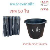 กระถางต้นไม้สีดำ 6 นิ้ว เซท 50 ใบ กระถางต้นไม้พลาสติกดำ ขายเป็นเซท 50 ใบ