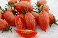 เมล็ดพันธุ์มะเขือเทศเชอร์รี่ พิงค์ ไทเกอร์ (Pink Tiger Cherry Tomato Seed) บรรจุ 15 เมล็ด ของแท้ คุณภาพดี ราคาถูก นำเข้าจากต่างประเทศ