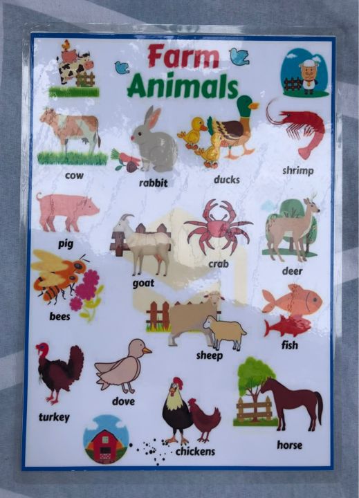 Farm Animals A4 size LAMINATED | Lazada PH