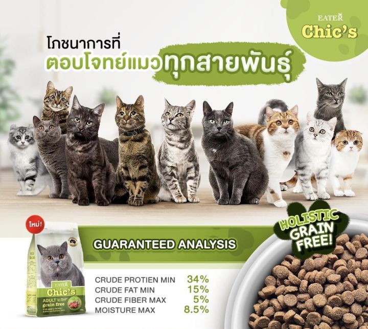 อาหารแมว-eater-chics-อีทเตอร์ชีคส์-สูตรเนื้อแกะ-แซลมอน-amp-ทูน่า-เกรด-holistic-เกรนฟรี-ตัวแน่น-ขนสวย-ขนไม่ร่วง-1-kg