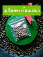 เมล็ดกระเจี๊ยบเขียว100เมล็ด/15บาท #เม็ดกระเจี๊ยบเขียว