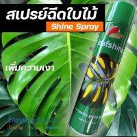 Floreca สเปรย์ฉีดเคลือบใบไม้ ใบมันสวยงาม ขนาด 600ml