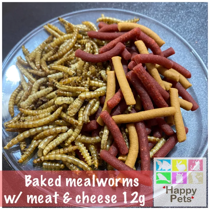 Baked mealworms with meat and cheese premium treats for Hamsters