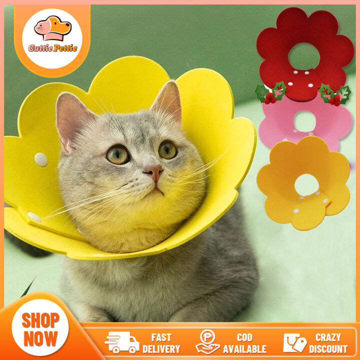 Cat Cone Cat Recovery Collar ECollar Pet Dog Prevent Bite Elizabeth