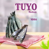 Dried Fish Tuyo Small/Medium 100g