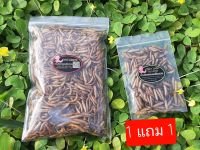 อาหารเสริมสัตว์เล็ก-หนอนนกอบแห้ง&amp;หนอนโปรตีนอบแห้ง ขนาด 100 กรัม Dried Mealworms&amp;Black Soldier Fly Larvae (คัดอย่างดี ไม่ปรุ่งแต่งสีและกลิ่น) อบสดใหม่ทุกวัน