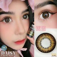 บิ๊กอายส์Daisy/kiwi brown รุ่นน้ำตาลตัดขอบตาโตแบ๊ว