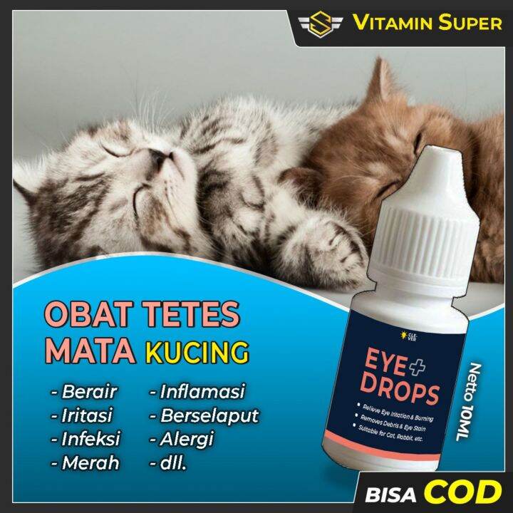 Obat Tetes Mata Kucing, Kelinci Dan Anjing Eye Plus Drops Obat Sakit ...