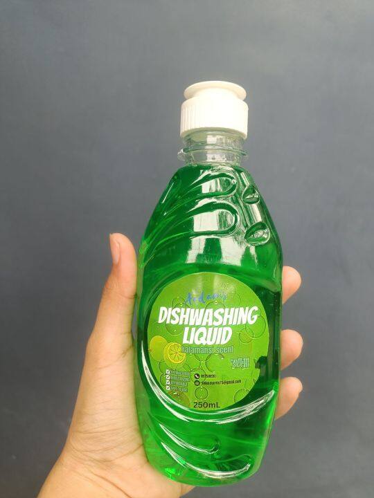 Premium Dishwashing Liquid 250 ML Bottle Lazada PH