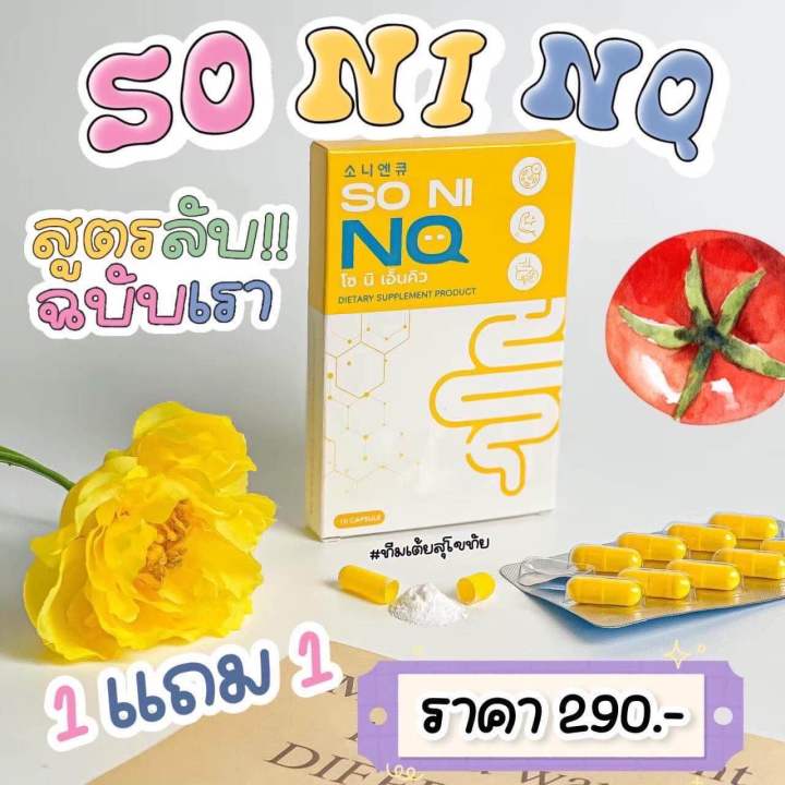 โซนิ-เอ็นคิว-คุมหิวลดน-น-1แถม1-มีของแถม