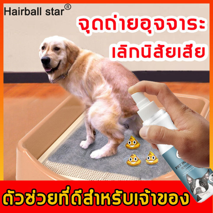 Hairballstar สเปรย์ฝึกสุนัขฉี่150Mlตัวช่วยที่ดีสำหรับเจ้าของ จุดถ่ายอุจจาระ  เลิกนิสัยเสีย สเปรย์ฝึกฉี่ สเปรย์กันหมาฉี่ สเปรย์กันฉี่ สเปรย์ฝึกหมาฉี่  ตั้งห้องน้ำจุดคงที่ สเปรย์ฝึกขับถ่ายสุนัข สเปรย์ฝึกขับถ่าย  สเปรย์ฝึกการขับถ่าย Pet Toilet Inducer ...