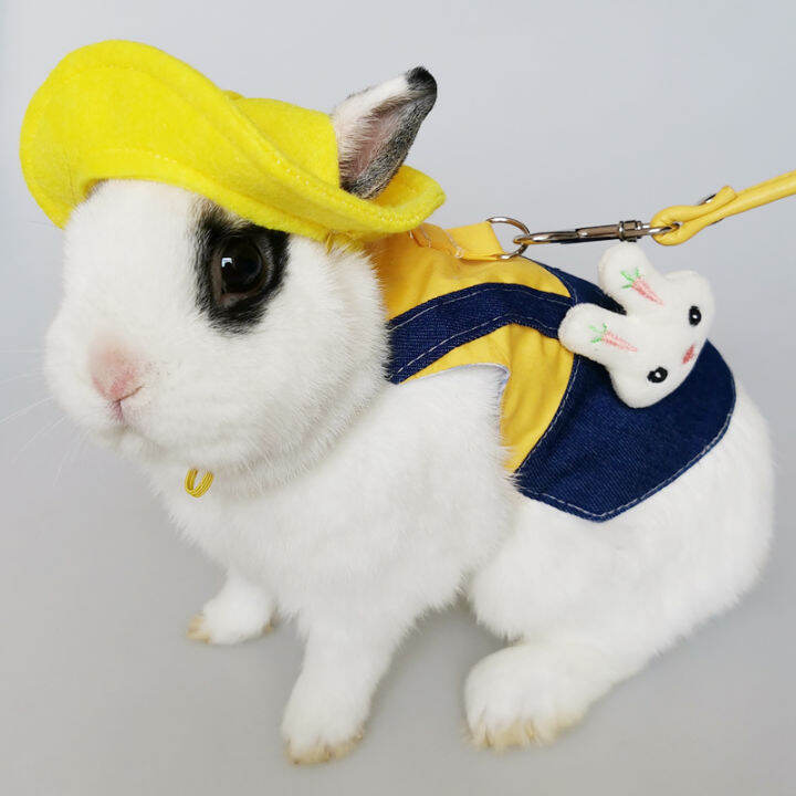 Rabbit Clothes All Year Round Pet Rabbit Clothing Small Rabbit Walking