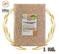 ?ข้าวกล้องหอมปทุม ปลอดสารเคมี ตราไก่สีทอง Patum Brown Rice 1 kg