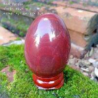 Red Jasper | แจสเปอร์สีแดง ♥️
#ทรงไข่ สีแดง หินธรรมชาติ หินสะสม สูง 4.7 cm