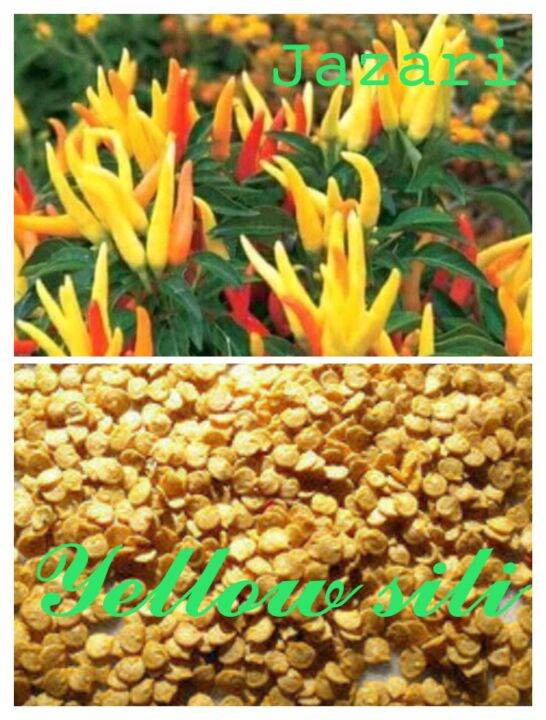 Yellow Siling Labuyo Seeds 25 Seeds Lazada Ph