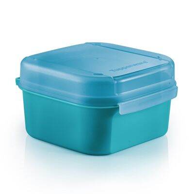 Tupperware Mini Signature Line 450ml กระปุกทัพเพอร์แวร์อเนกประสงค์ สามารถเก็บผลไม้ ขนม เบอร์เกอร์ หรือเก็บของจุกจิกได้