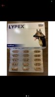 Lypex อาหารเสริมตับอ่อนอักเสบหรือมีปัญหาระบบย่อย ขายปลีก/ยกกล่อง