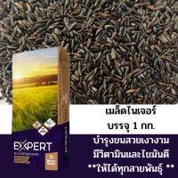 Expert Niger Seed เมล็ดไนเจอร์ สำหรับนกทุกสายพันธุ์ บำรุงขน อุดมไปด้วยไขมันดี บรรจุ 1 กิโลกรัม