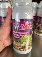 ฮอร์โมนข้าว M-Mix 500cc ตั้งท้องรับรวง เร่งน้ำนมข้าว เร่งเม็ดเต่ง เพิ่มน้ำหนัก