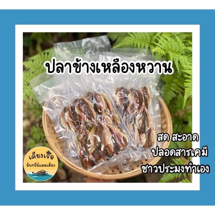 ปลาข้างเหลืองหวาน-พร้อมส่ง-สด-ใหม่-การันตีความอร่อย-ราคาดีที่สุด-ปลอดสารเคมี-100