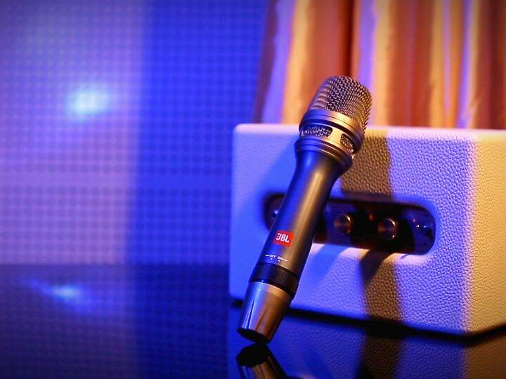 JBL/RAYHAYES Microphone Original Platinum Portable Handheld Dynamic