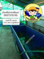 บ่อผ้าใบเย็นขึ้นรูป(ไม่มีโครงpvc)ขนาด  1m×4m สูง40cm