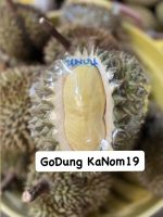 ทุเรียน หมอนทอง ลับแล ? (Monthong Durian) [1 ลูก] น้ำหนัก 1.5โล - 2 โล (ไซส์มินิ) นุ่ม หอม หวาน มัน อร่อย ของ อ.ลับแล จ.อุตรดิตถ์ ??#ทุเรียน #หมอนทอง #ลับแล #Durian *อ่านรายละเอียดด้วยน่ะครับคุณลูกค้า??