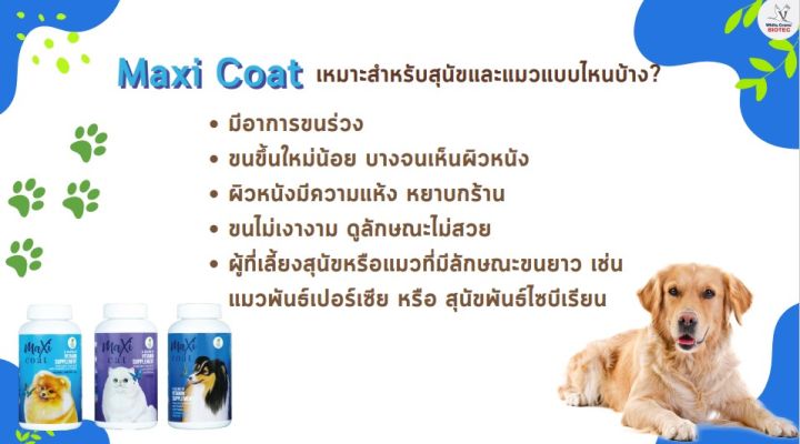 maxi-coat-ผลิตภัณฑ์เสริมอาหารบำรุงขนดูแลสุขภาพผิวสำหรับสุนัขเล็ก
