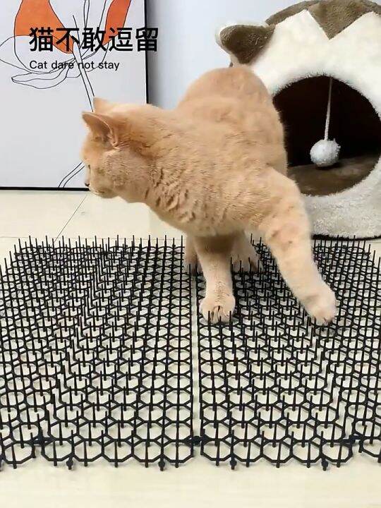 Cat Repellent Penghalau Kucing Halau Kucing Anti Cat Spike Mat Animal