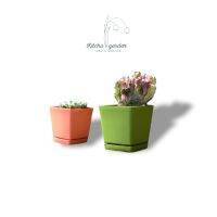 KitchaGarden กระถางต้นไม้สไตล์ญี่ปุ่นพร้อมถาดรอง Japanese small rectangular flower pot with saucer กระถางแคตตัส