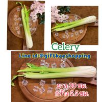 เซเลอรี่ปลอม (Celery) วัสดุผลิตจากยาง สวยงามเหมือนจริง