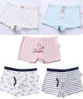 กางเกงในเด็กขาสั้น Children underpants size 110